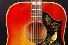 Gibson DOVE_8