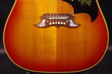 Gibson DOVE_9