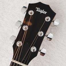 Taylor 【チョイ傷特価!】 214ce Walnut 【48回無金利】【トリファイドスプルース】【細目ネック】_3