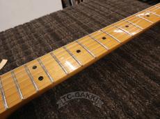 Fender Mexico 2009 Classic Player '72 Telecaster Deluxe Tremolo_17