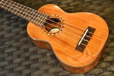 DCT DUS-600M Soprano