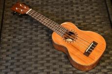 DCT DUS-600M Soprano_2