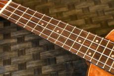 DCT DUS-600M Soprano_7