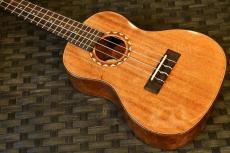 DCT DUC-600M Concert