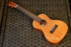 DCT DUC-600M Concert_2