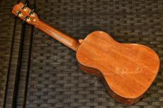 DCT DUC-600M Concert_3