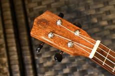 DCT DUC-600M Concert_5