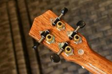 DCT DUC-600M Concert_6