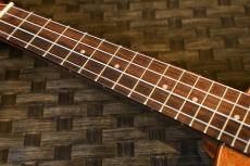 DCT DUC-600M Concert_7