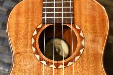 DCT DUC-600M Concert_11