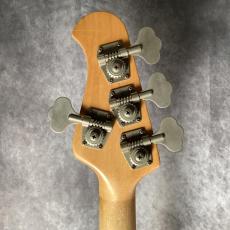 MUSIC MAN StingRay EX_6
