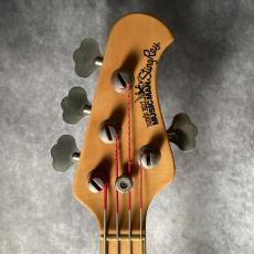 MUSIC MAN StingRay EX_2