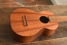 Kamaka Concert HF-2 KUKUI_2