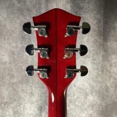 Gretsch 6119 TENNESSEE ROSE_6