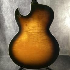 Gibson ES-175_8