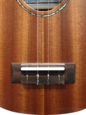 Koalana KSA-10SP Soprano 【コアラナ】【ソプラノ/サペリ】【送料込】_5