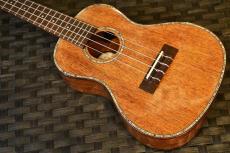 DCT DUC-300M Concert