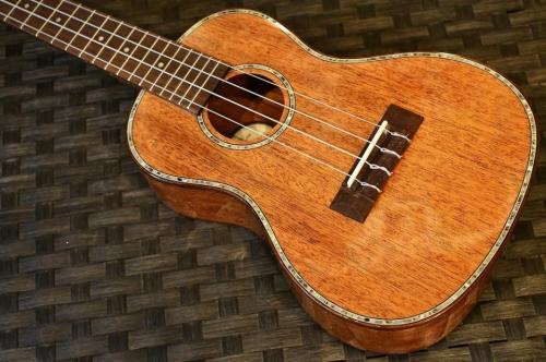 DCT DUC-300M Concert