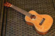 DCT DUC-300M Concert_2