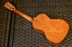 DCT DUC-300M Concert_3