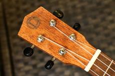 DCT DUC-300M Concert_5