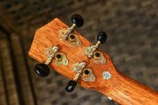 DCT DUC-300M Concert_6