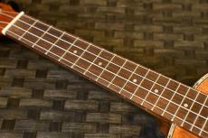 DCT DUC-300M Concert_7