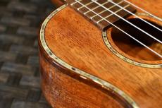 DCT DUC-300M Concert_9