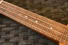 Famous FS-0 Soprano_7