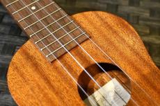 Famous FS-0 Soprano_9