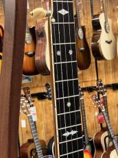Bacon  Professional No.3 5strings Banjo 1920's_4