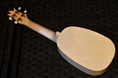Famous FS-S10 P/N Soprano_3