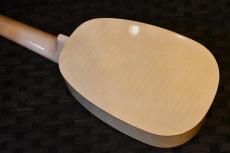 Famous FS-S10 P/N Soprano_4