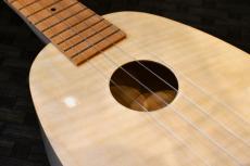 Famous FS-S10 P/N Soprano_9