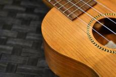 Famous FLS-11GC Soprano LongNeck_9