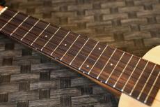 Famous FS-220 Soprano_7