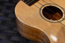 Famous FS-220 Soprano_9