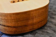Famous FS-220 Soprano_12