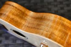 Famous FS-220 Soprano_15