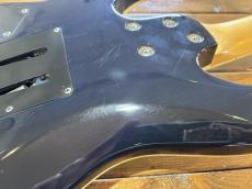 Greco WS-50FR_11