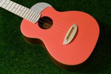 aNueNue UC10 LC Concert