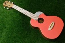 aNueNue UC10 LC Concert_2
