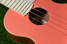 aNueNue UC10 LC Concert_9