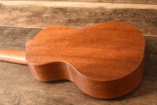 Matsui Ukulele Concert Hinemos_5