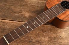 Matsui Ukulele Concert Hinemos_7