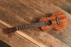 Matsui Ukulele Concert Hinemos_9