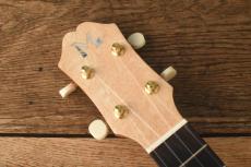 Mon Ami Concert MA-CWM_4