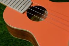 aNueNue US10 LC Soprano_9