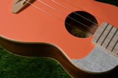 aNueNue US10 LC Soprano_10