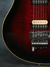 PEAVEY Wolfgang Standard Black Cherry Burst_8